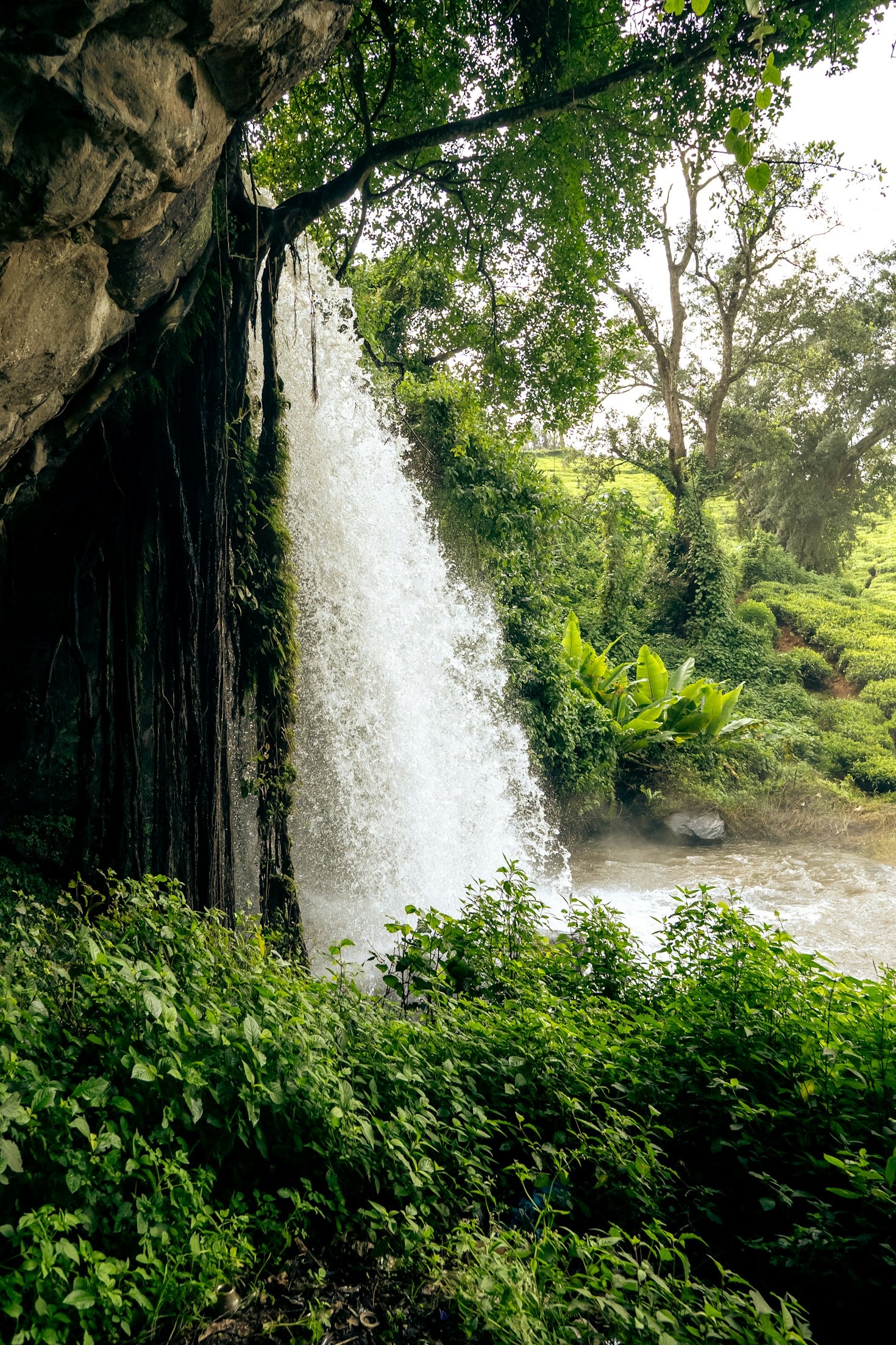 Top Tips for Photographing Scenic Locations